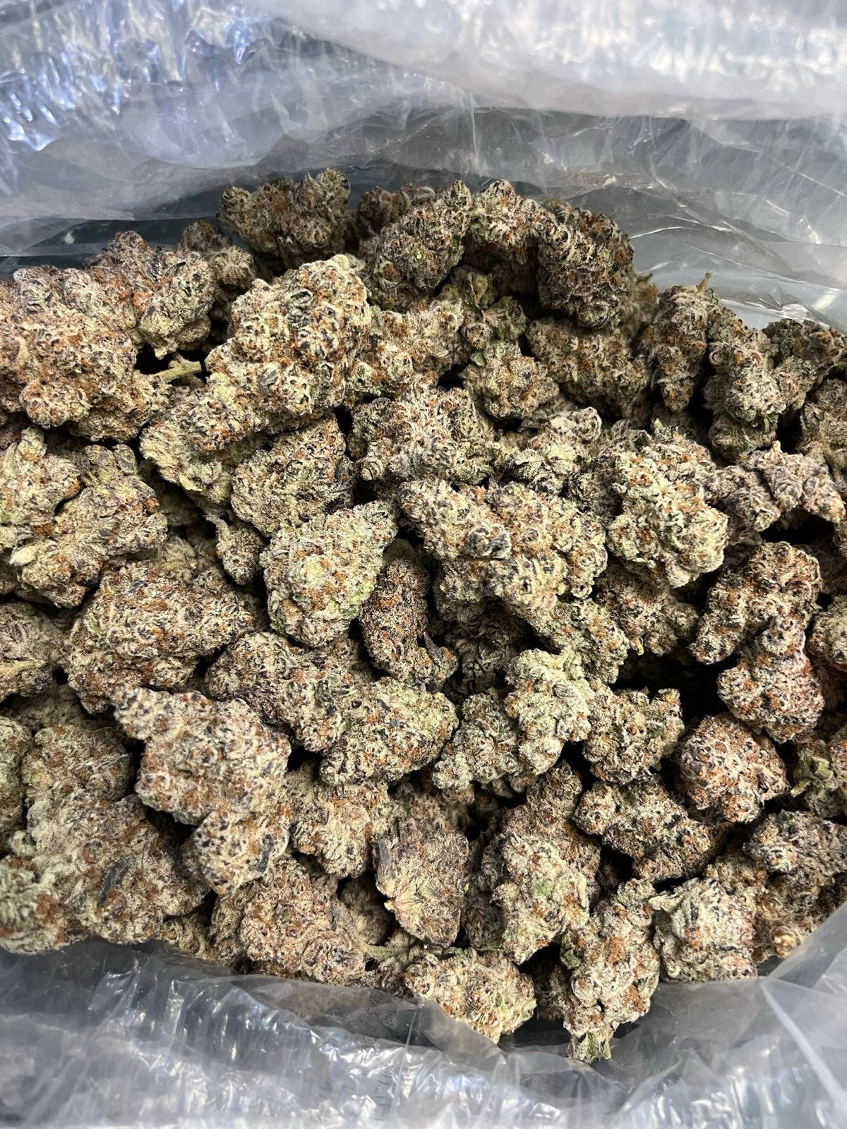 Dante’s Inferno - Indoor Organic Living Soil