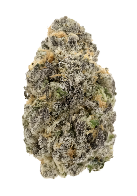 Bolinas - Indoor Organic Living Soil Cannabis Jars (28g)