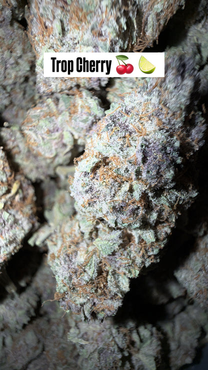 HeadyTerpPusher - Premium Cannabis Jars (7g)