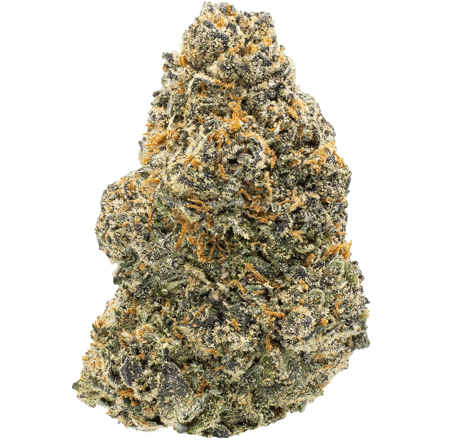 Face Melt - Pablo’s Driver Indoor Organic Living Soil Cannabis Jars