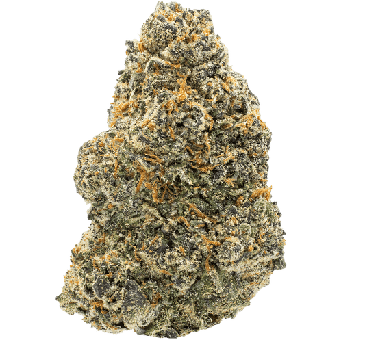 Face Melt - Pablo’s Driver Indoor Organic Living Soil Cannabis Jars