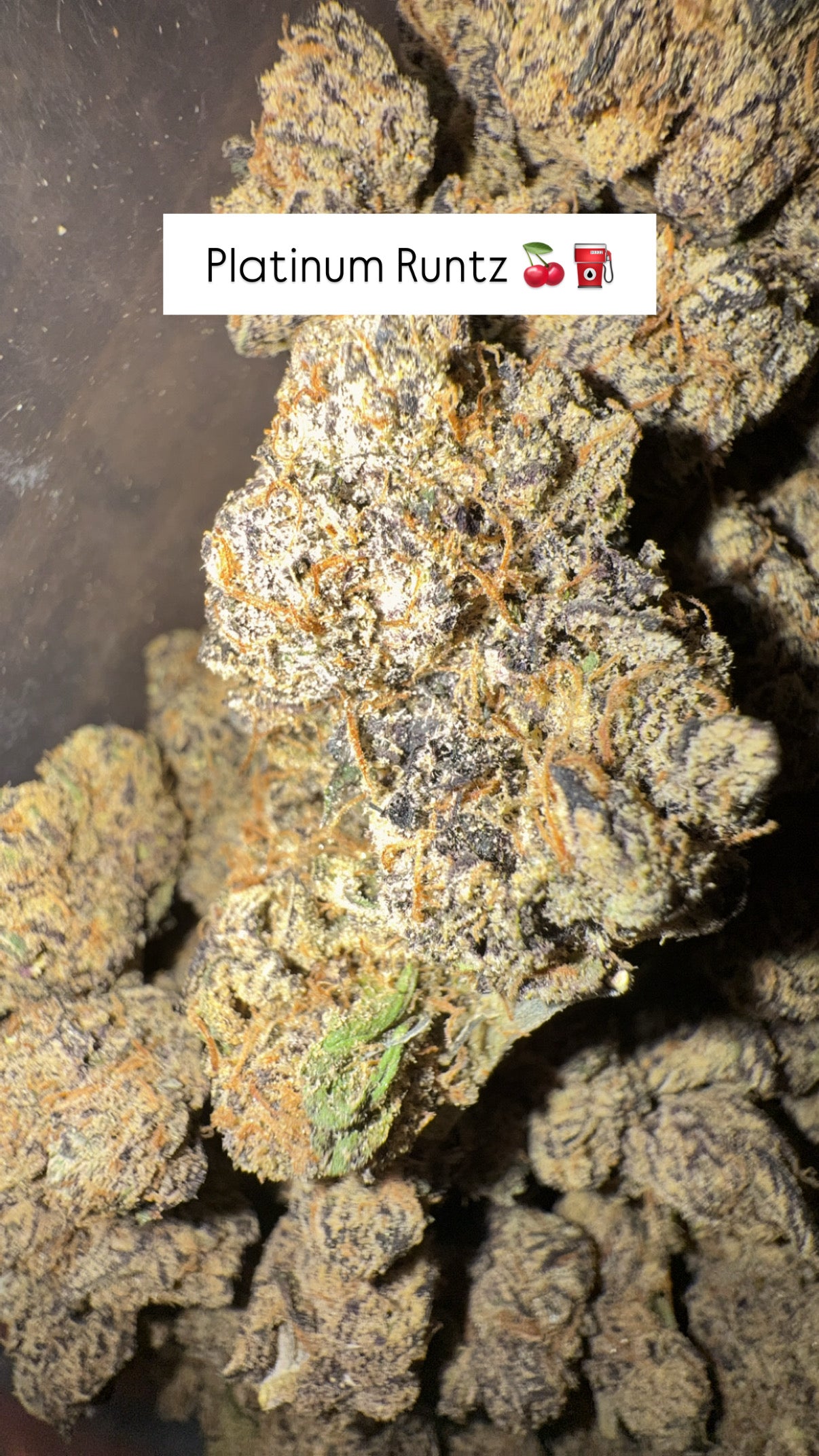 HTP - Indoor Organic Flower (Bulk)