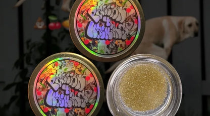 Passion 4 Hashin - 6* Full Melt Hash Jars (1g)