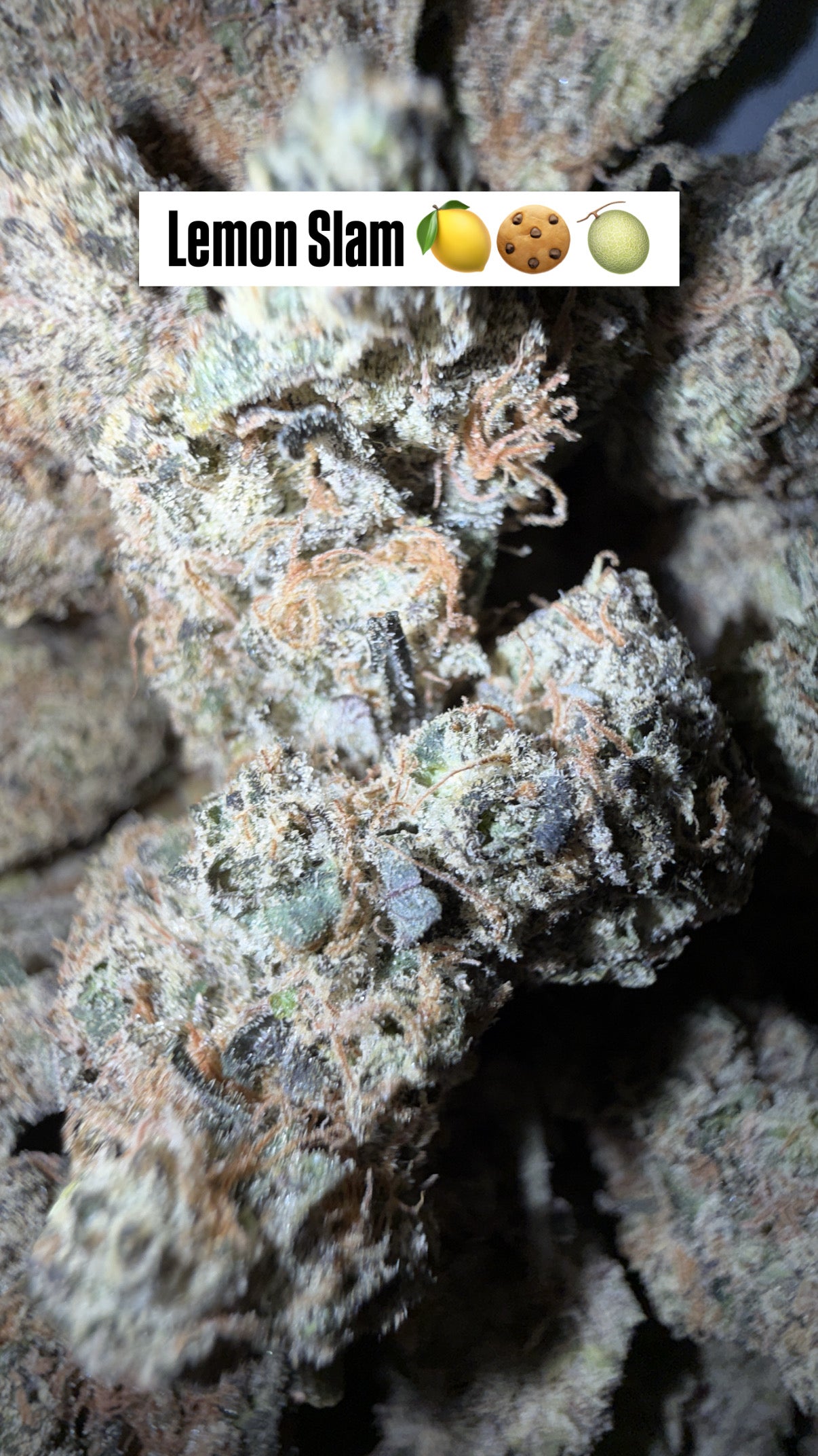 HTP - Indoor Organic Flower (Bulk)