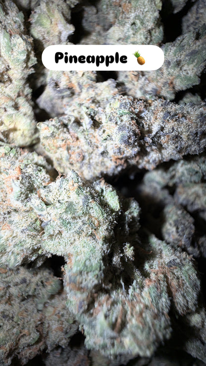 HeadyTerpPusher - Premium Cannabis Jars (7g)