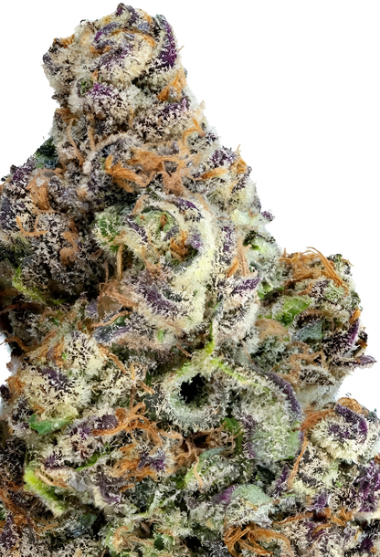 Lava Cake - Indoor Organic Living Soil Cannabis Jars (28g)