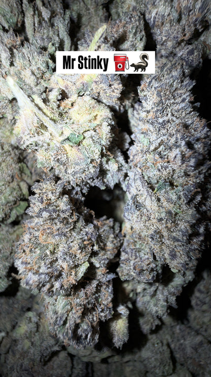 HTP - Indoor Organic Flower (Bulk)
