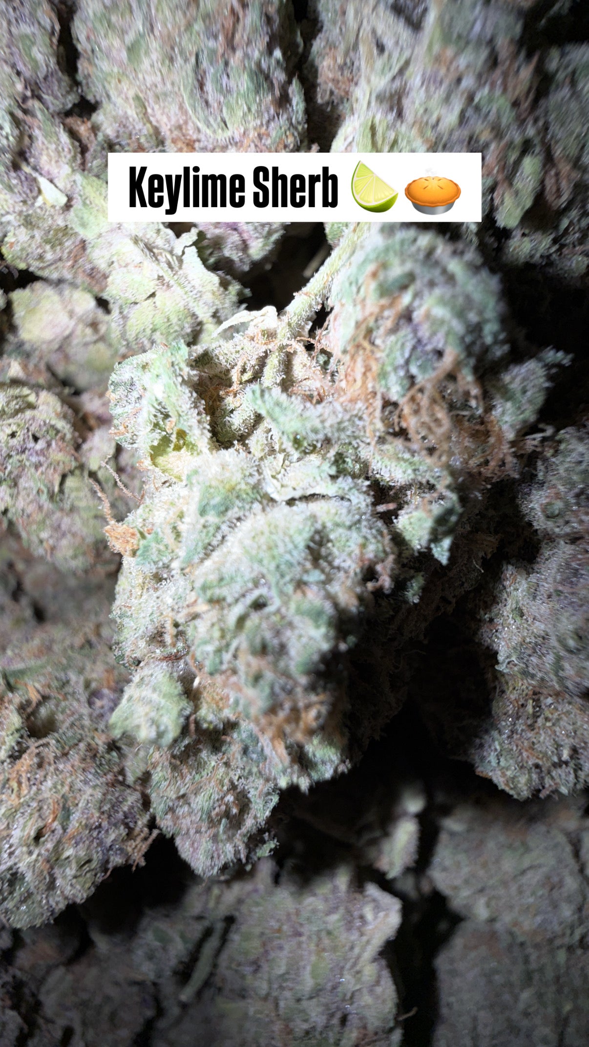 HTP - Indoor Organic Flower (Bulk)