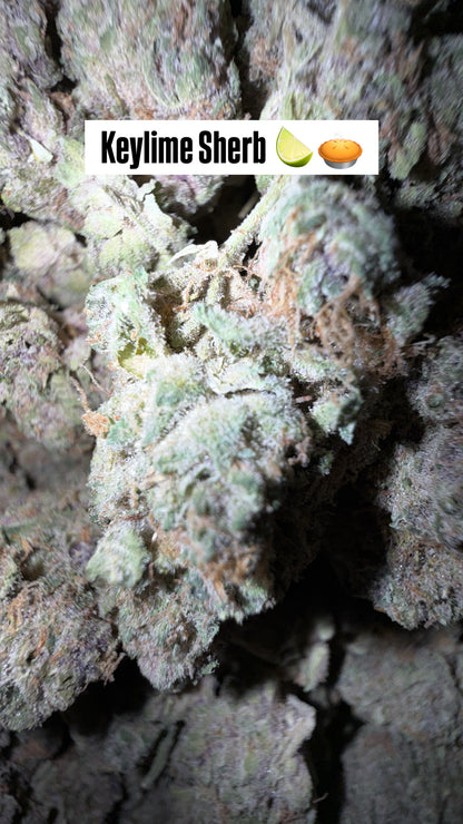 HTP - Indoor Organic Flower (Bulk)
