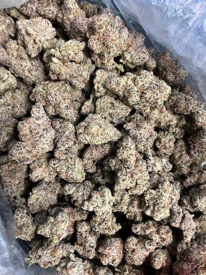 Dante’s Inferno - Indoor Organic Living Soil