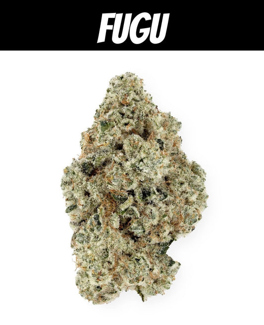 Face Melt - Fugu Indoor Organic Living Soil Cannabis Jars