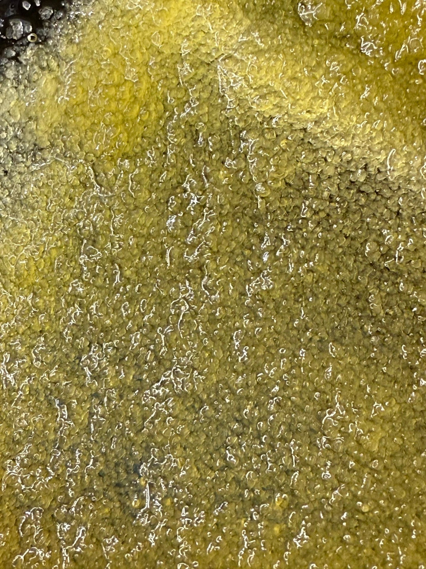 Clandestine Alchemy - Live Resin