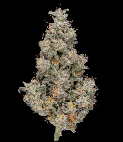 Face Melt - Lime Headz Indoor Organic Living Soil Cannabis Jars