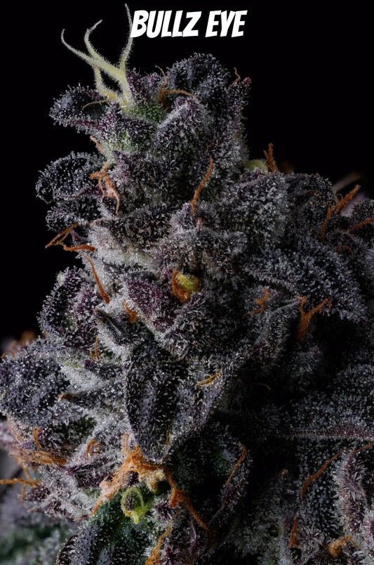 Face Melt - Bullz Eye Indoor Organic Living Soil Cannabis Jars