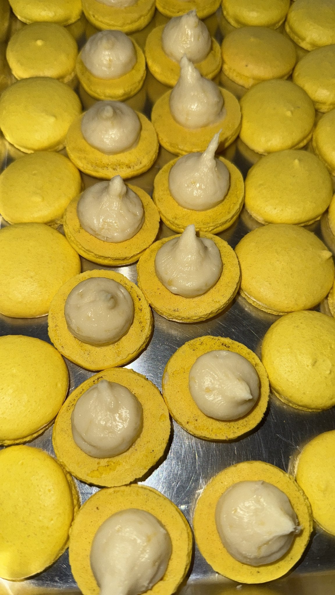 High Elation Hash Co - Macaroons (Hash Infused 150mg thc)