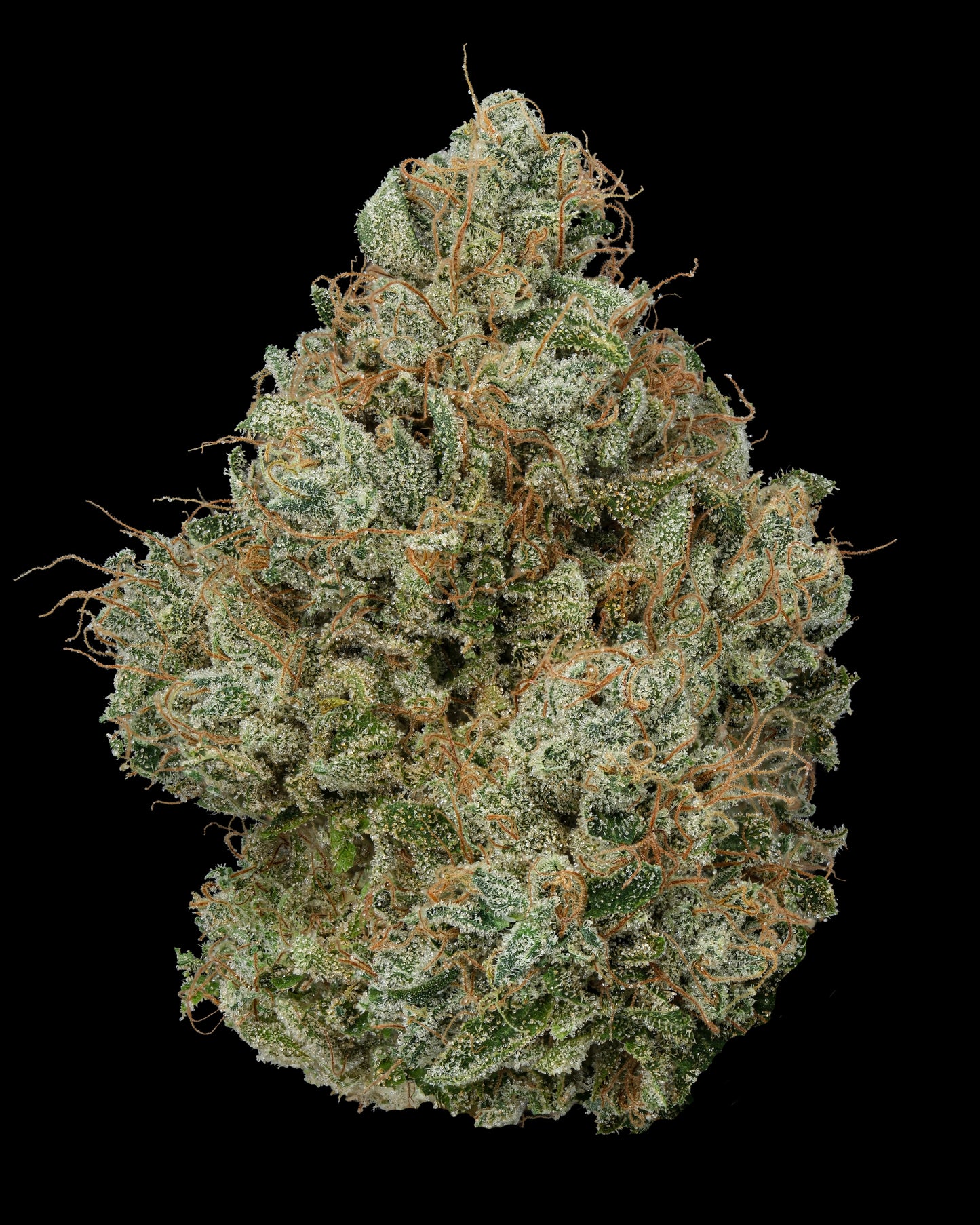 Face Melt - Candy Fumez Indoor Organic Living Soil Cannabis Jars (28g)