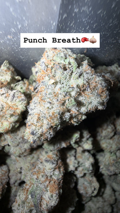 HTP - Indoor Organic Flower (Bulk)