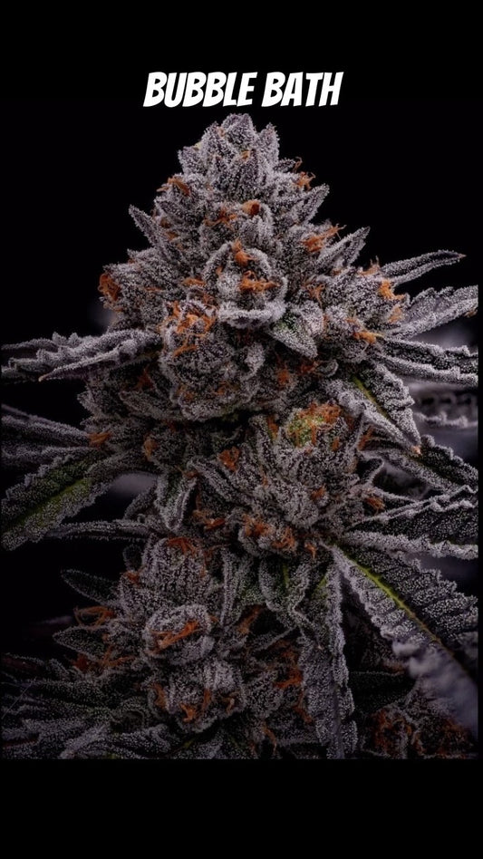 Face Melt - Bubble Bath Indoor Organic Living Soil Cannabis Jars