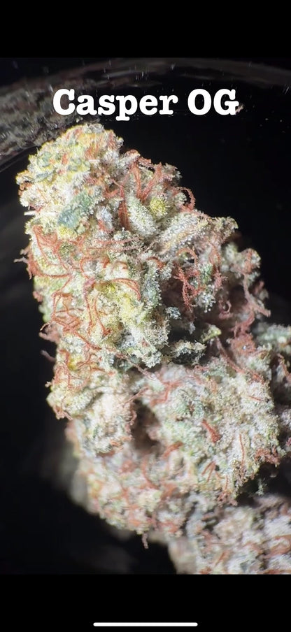 Terp Monster Genetics x Palm Trees LA - Premium Cannabis Jars (7g)