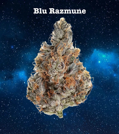 Zero Gravity Exotics - Premium Cannabis Jars (7g)