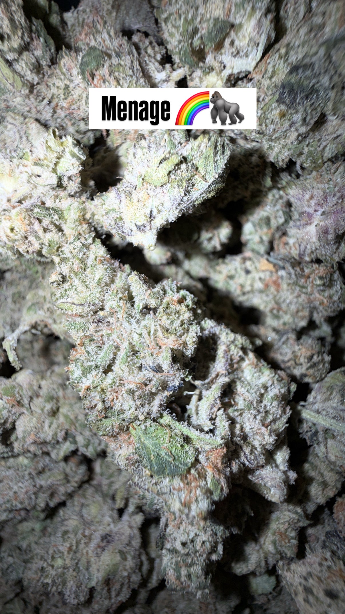 HTP - Indoor Organic Flower (Bulk)