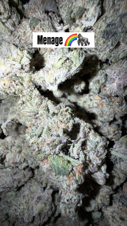 HTP - Indoor Organic Flower (Bulk)