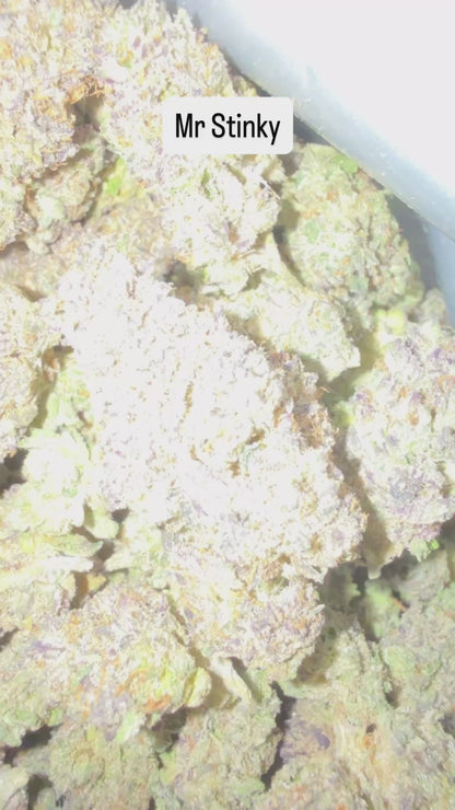 HeadyTerpPusher - Premium Cannabis Jars (7g)