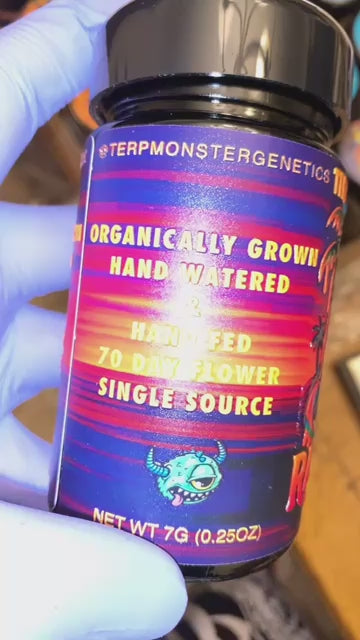 Terp Monster Genetics x Palm Trees - Premium Cannabis Jars (7g)