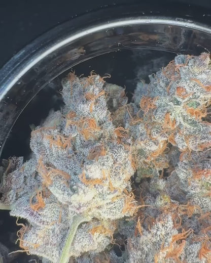 The Infernal Company - Carbon Fiber (Grapes & Cream x Biscotti)