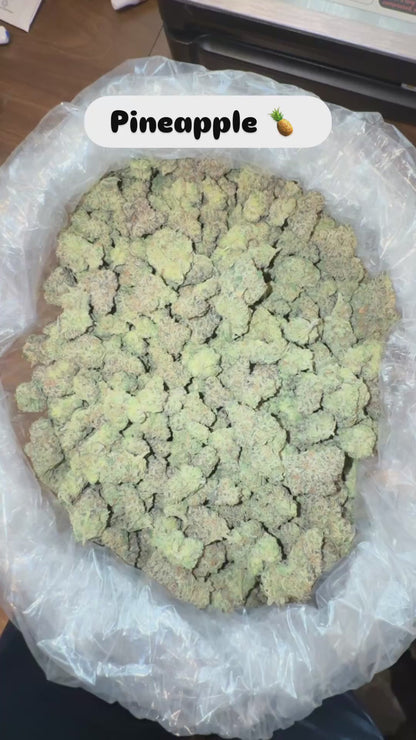 HeadyTerpPusher - Premium Cannabis Jars (7g)