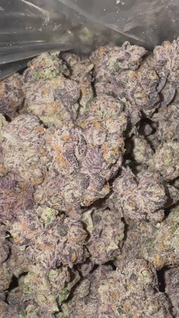 Candy Hearts - Indoor Organic Living Soil Cannabis