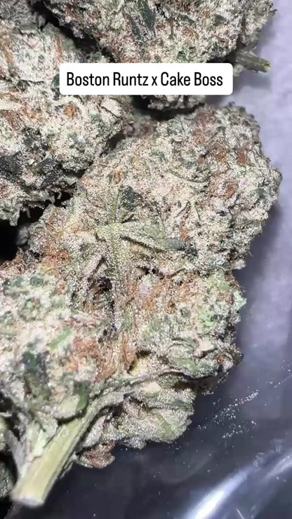 Boston Runtz x Cake Boss - Indoor Organic Living Soil (Pre Order)