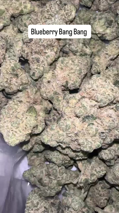 Blueberry Bang Bang - Indoor Organic Living Soil (Pre Order)