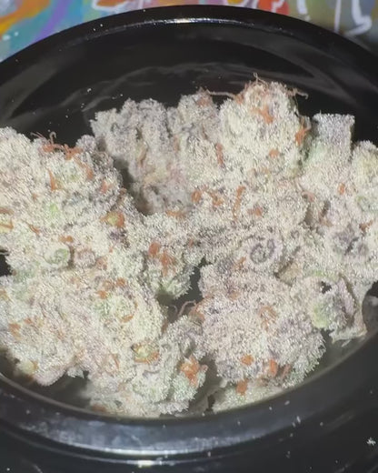 The Infernal Company - Punch Breath (Purple Punch x Mendo Breath)