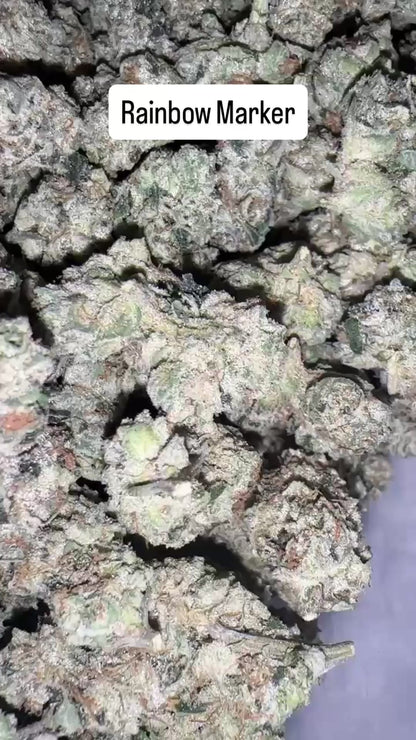 Rainbow Marker - Indoor Organic Living Soil (Pre Order)