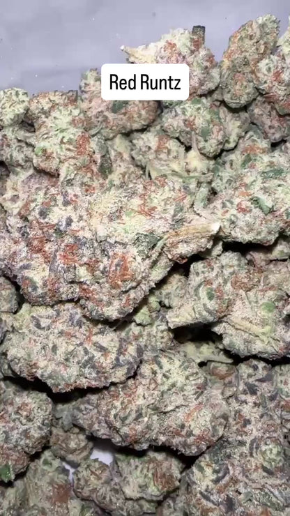 Red Runtz - Indoor Organic Living Soil (Pre Order)